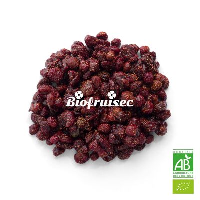 Dried Organic Wild Strawberry from the Dinaric Alps Bag 1 kg