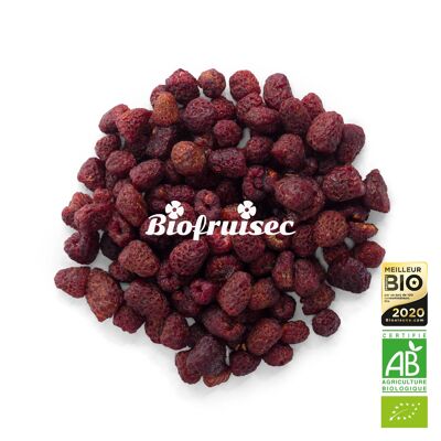 Dried Organic Raspberry from the Dinaric Alps Bag 1 kg