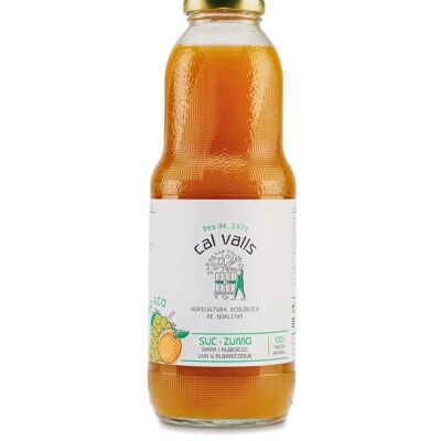 Organic Apricot and Grape Juice 1L