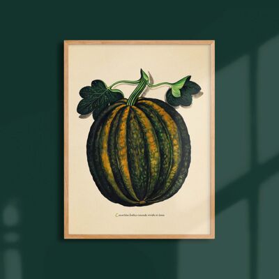 Poster 30x40 - Green pumpkin