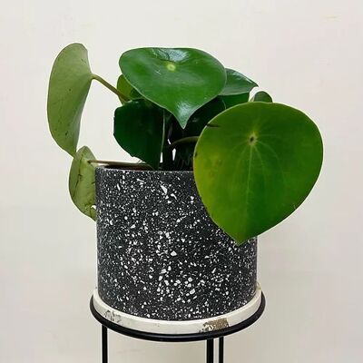 Terrazzo Plant Pot - MONOCHROME