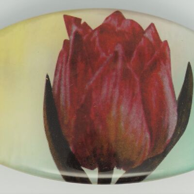 Fermacapelli 8 cm qualità superiore, Iriss Vincent van Gogh, clip made in France