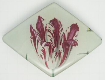 Barrette 8 cm qualité supérieure, Tulipe célèbre peinture, made in France clip 1