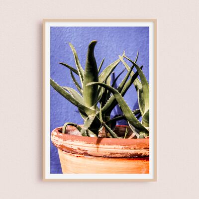 Póster / Fotografía - Jardín Majorelle | Marrakech Marruecos 30x40cm