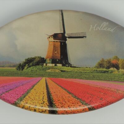 Pasador 6 cm calidad superior, molinillo con campo de tulipanes, clip hecho en Francia