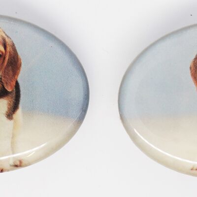 Fermacapelli 4 cm di qualità superiore, cane, clip made in France