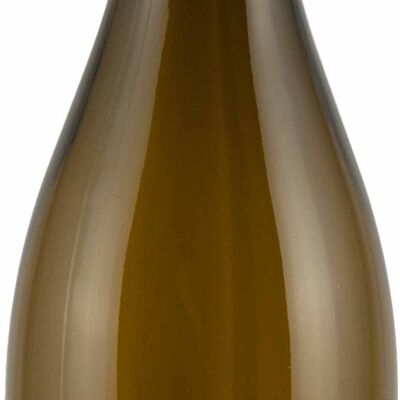 WHITE BURGUNDY DRY | From loess clay