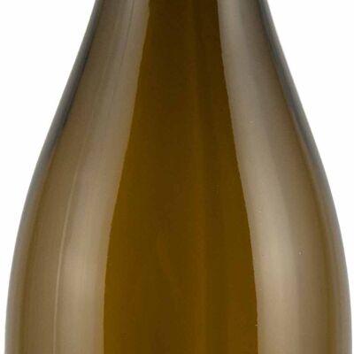 BOURGOGNE BLANC SEC | De l'argile de loess