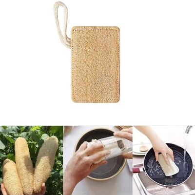 Luffa bio Merveilleuse éponge de cuisine naturelle