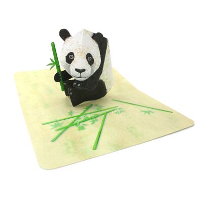 Pop up card panda bear