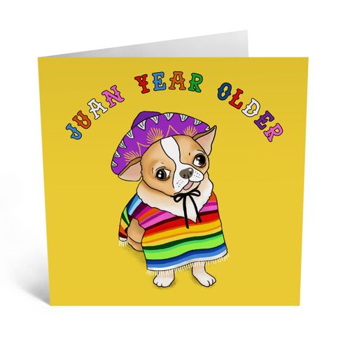 Central 23 - Juan Year Older - Funny Birthday Card