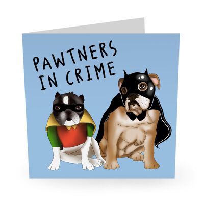 Central 23 - BATMAN ROBIN PAWTNERS EN CRIME