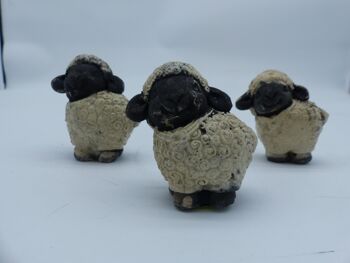 Petit mouton 3