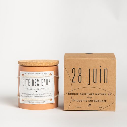 Bougie Naturelle Artisanale | 45h | Terracotta