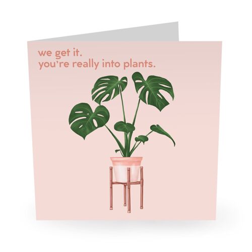 Central 23 - YOU’RE REALLY INTO PLANTS
