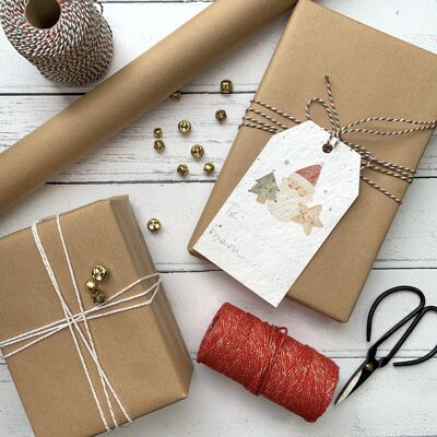 Large Santa Plantable seed gift tag