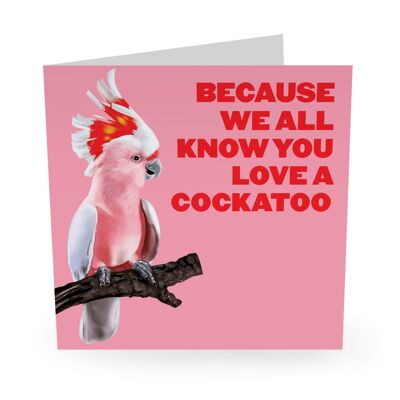Central 23 - YOU LOVE A COCKATOO