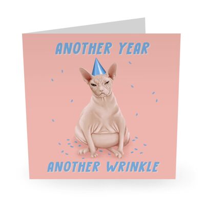 Central 23 - SPHYNX CAT ANOTHER YEAR ANOTHER WRINKLE