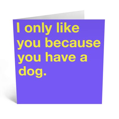 Central 23 - I ONLY LIKE YOU BECAUSE YOU HAVE A DOG