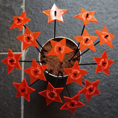 15 estrellas navideñas rojas brillantes tamaño pequeño 25 cm con mensaje grabado "Feliz Navidad" Exhibición de ventas SunCatcher Peggy Pot incluido