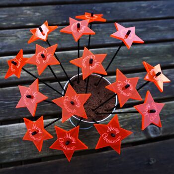 15 étoiles de Noël rouge brillantes Taille S 25 cm avec message gravé "Merry Christmas" Présentoir de vente SunCatcher Peggy Pot inclus 5
