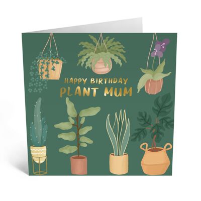 Central 23 - PLANT MUM