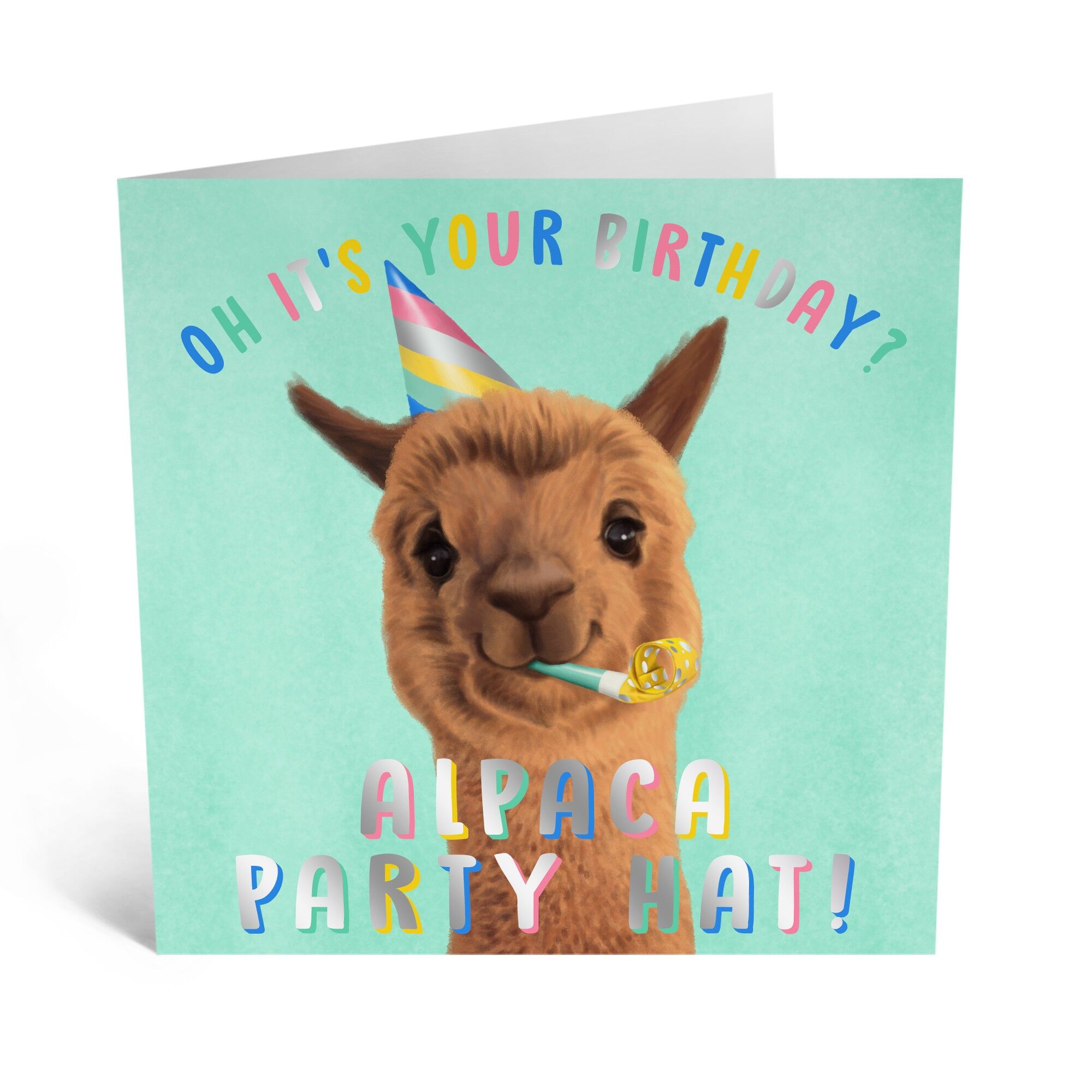 Central 23 - CAPPELLO PARTY IN ALPACA