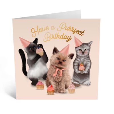 Central 23 - PURRFECT BIRTHDAY CATS