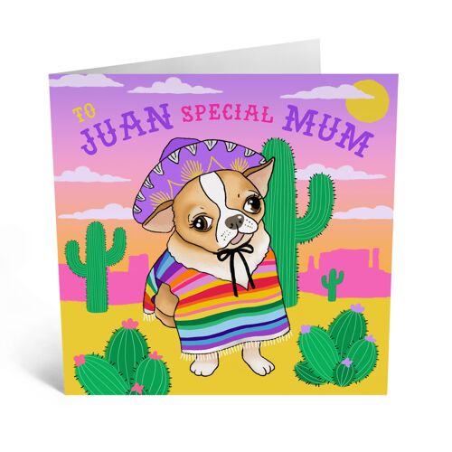 Central 23 - JUAN SPECIAL MUM