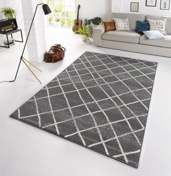 Tapis Velour Design Rhombe Capri gris, crème 3