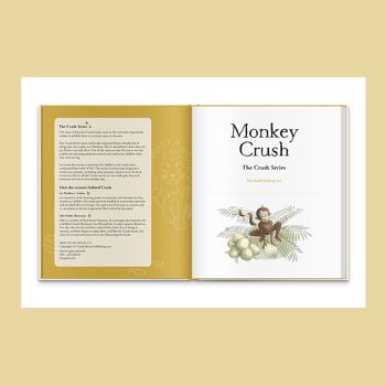 Livre pour enfants animaux - Monkey Crush (grand format) 2