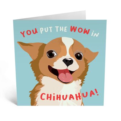 Central 23 - YOU PUT THE WOW IN CHIHUAHUA