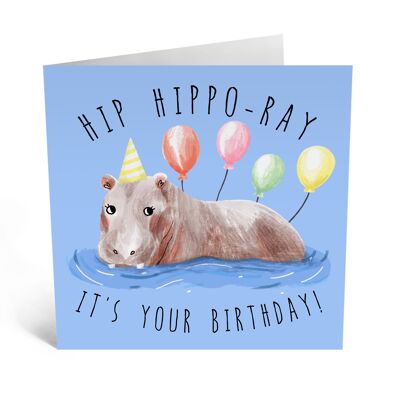 Central 23 - HIP HIPPO-RAY