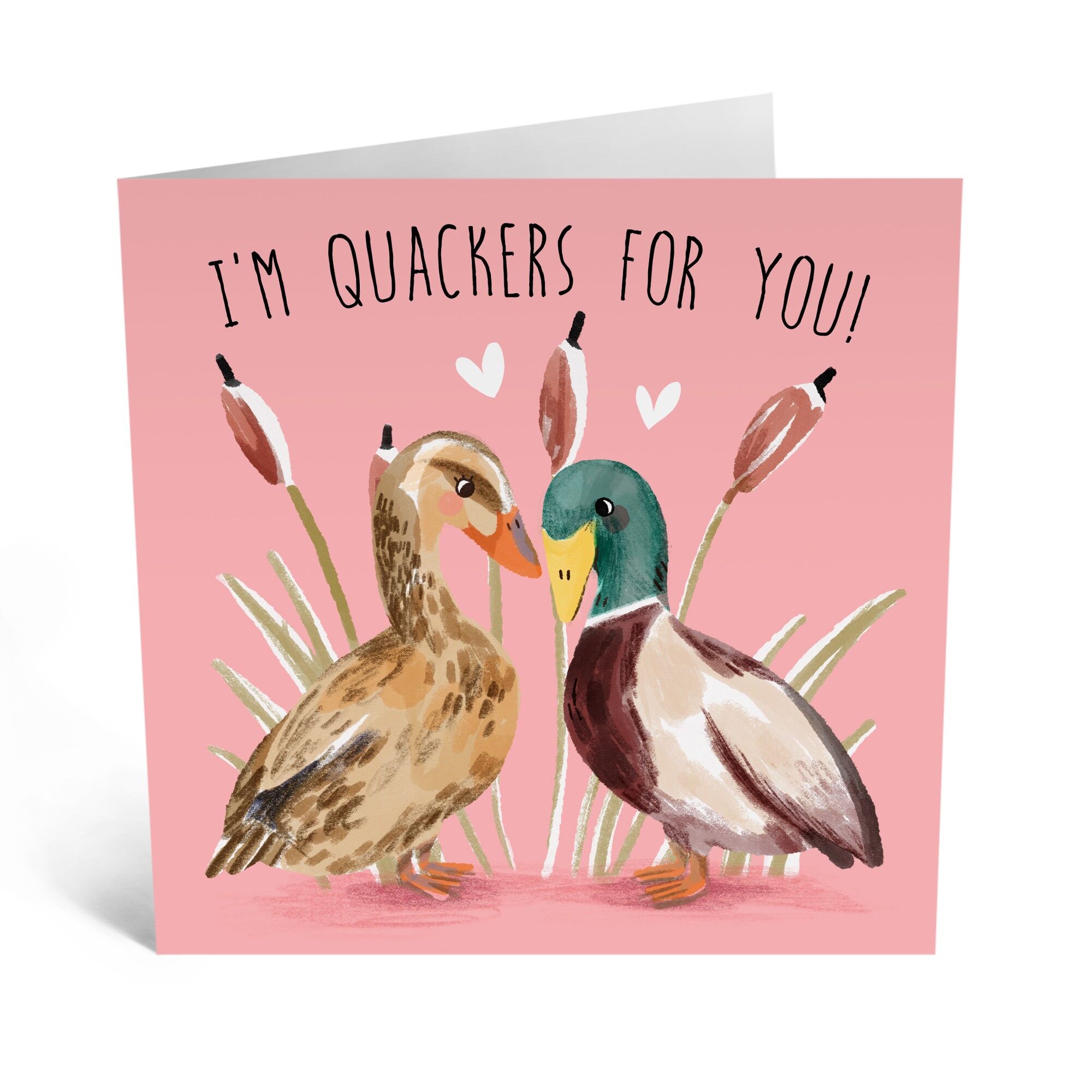 Centrale 23 - SONO QUACKERS PER TE