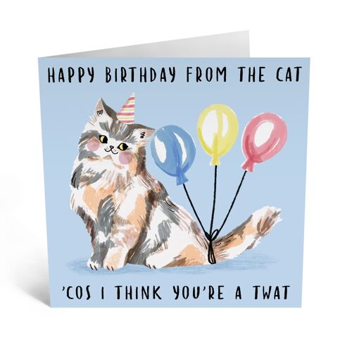 Central 23 - HAPPY BIRTHDAY FROM THE CAT
