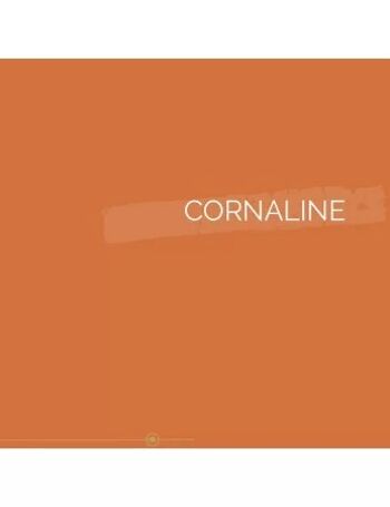 Tube de peinture extra-fine à 95% biosourcée, Orange Cornaline, 120ml 4