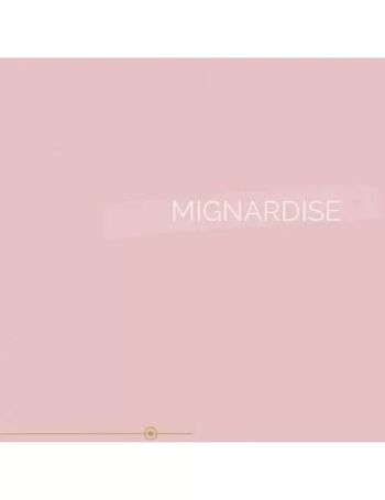 Tube de peinture extra-fine à 95% biosourcée, Rose Mignardise , 120ml 4