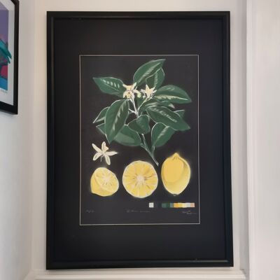 'Citrus Limon' - Peinture originale en édition limitée