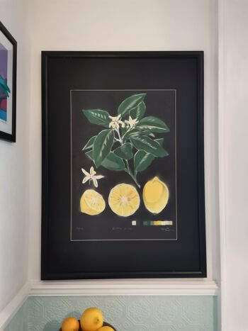 'Citrus Limon' - Peinture originale en édition limitée 1