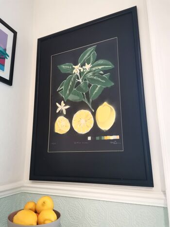 'Citrus Limon' - Peinture originale en édition limitée 2