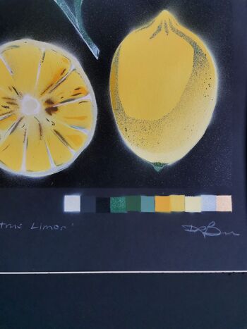 'Citrus Limon' - Peinture originale en édition limitée 6