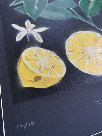 'Citrus Limon' - Peinture originale en édition limitée 8