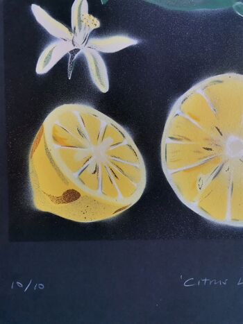 'Citrus Limon' - Peinture originale en édition limitée 9