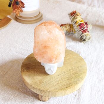 Veilleuse Lampe de sel de l'Himalaya avec interrupteur 1