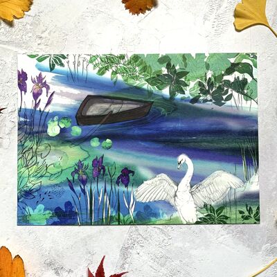 Stampa artistica A4 del lago dei cigni