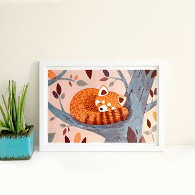 Red Panda Sleeping Risograph Print