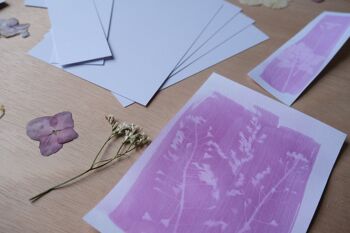 Kit rosatype format découverte : comme le cyanotype mais en rose 4