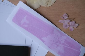 Kit rosatype format découverte : comme le cyanotype mais en rose 5