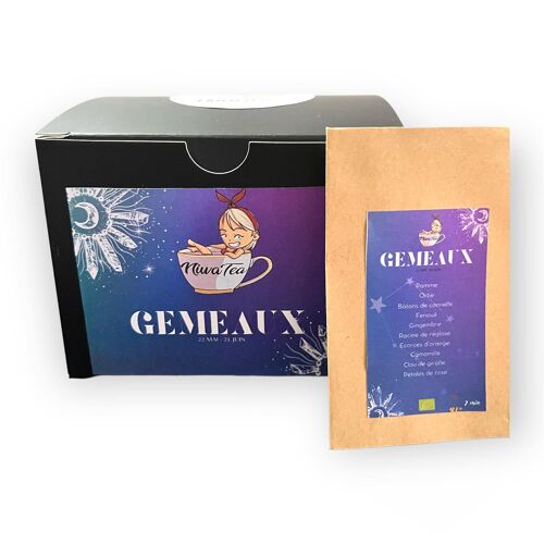 Gémeaux - sachets individuels - infusion Bio