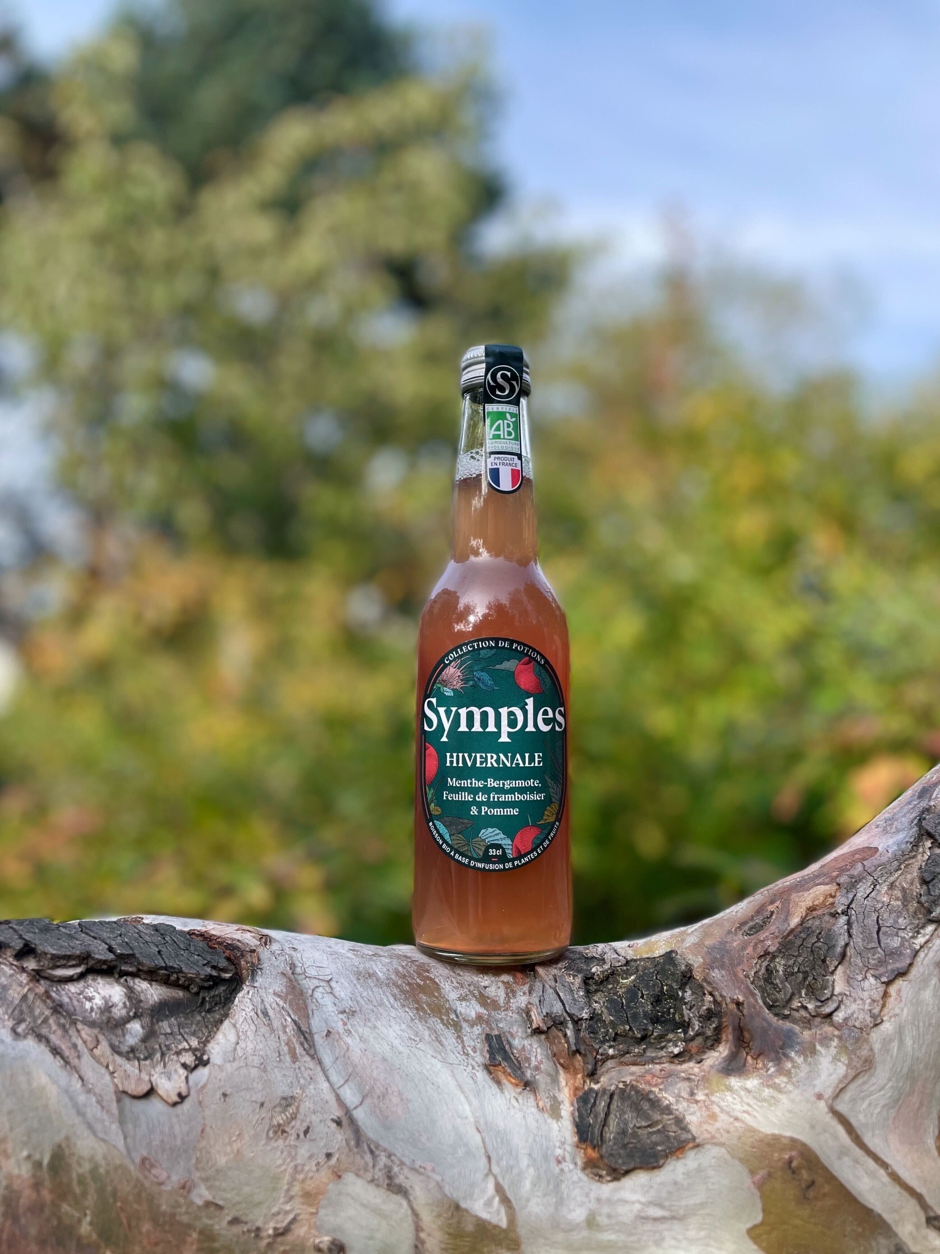 Winter Sparkling Infusion 33cl (limited edition)